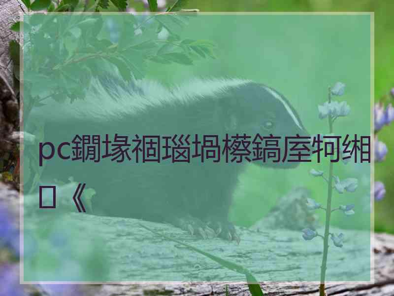 pc鐗堟祻瑙堝櫒鎬庢牱缃《