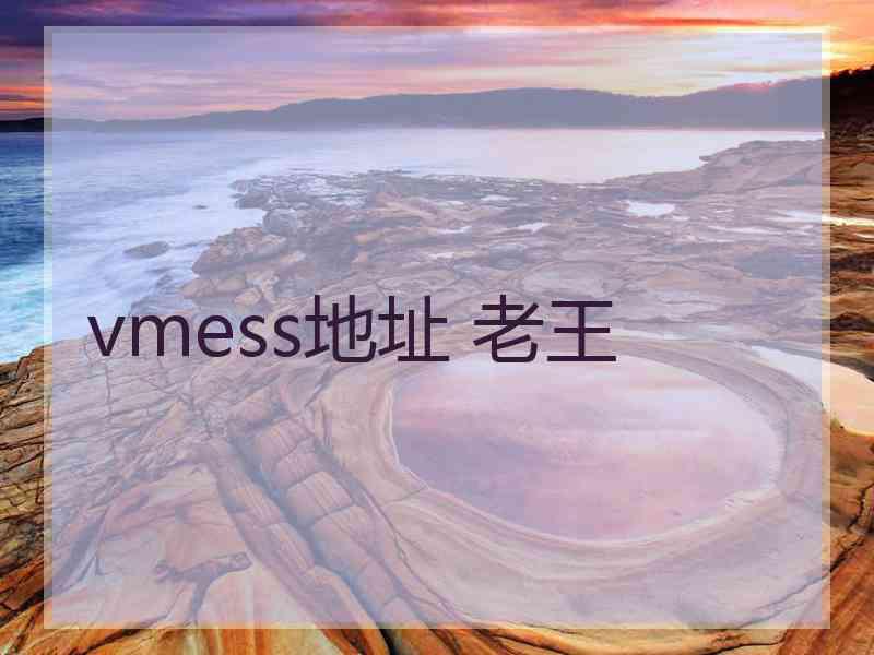 vmess地址 老王