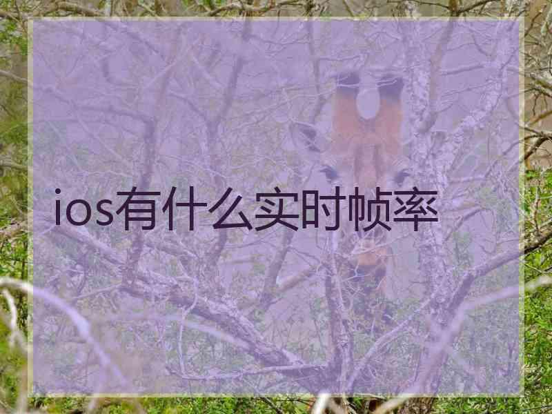 ios有什么实时帧率