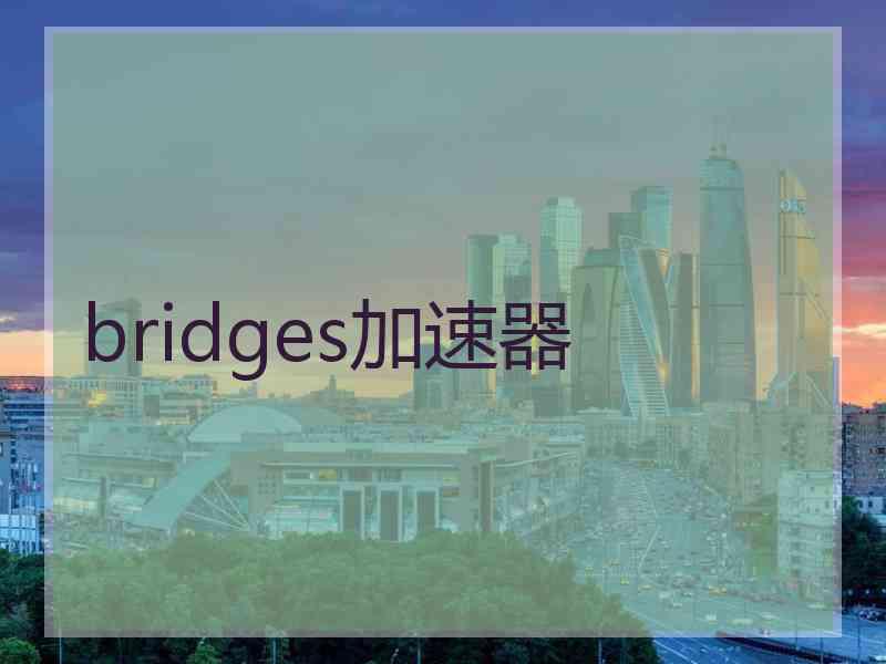 bridges加速器