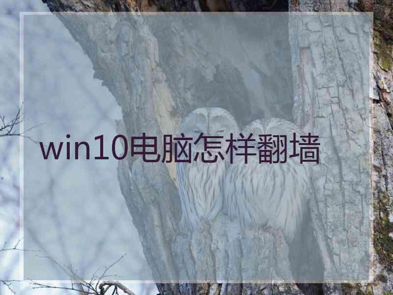 win10电脑怎样翻墙