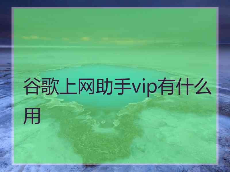 谷歌上网助手vip有什么用