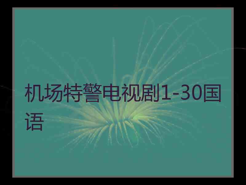 机场特警电视剧1-30国语