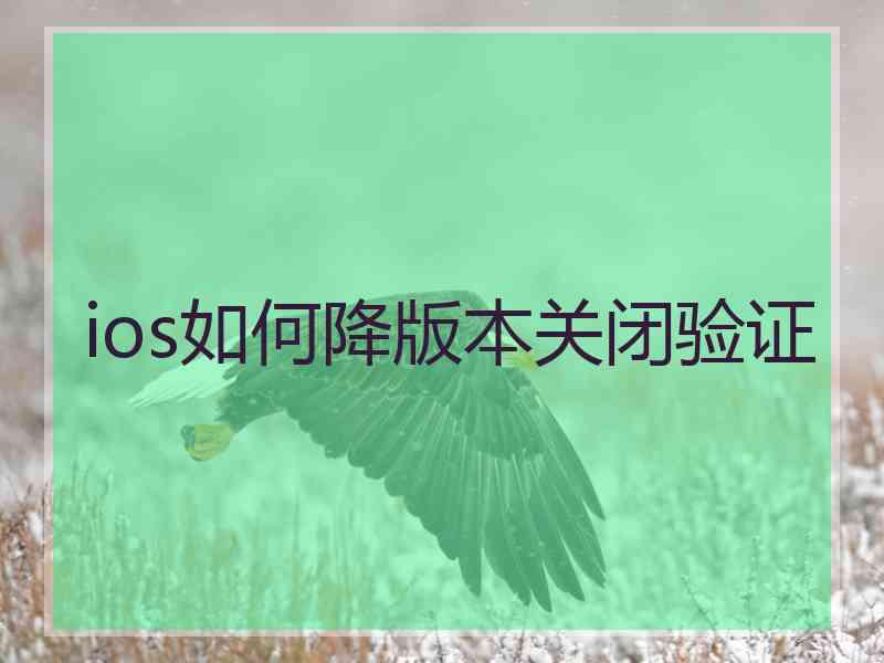 ios如何降版本关闭验证