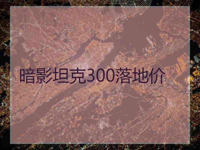 暗影坦克300落地价