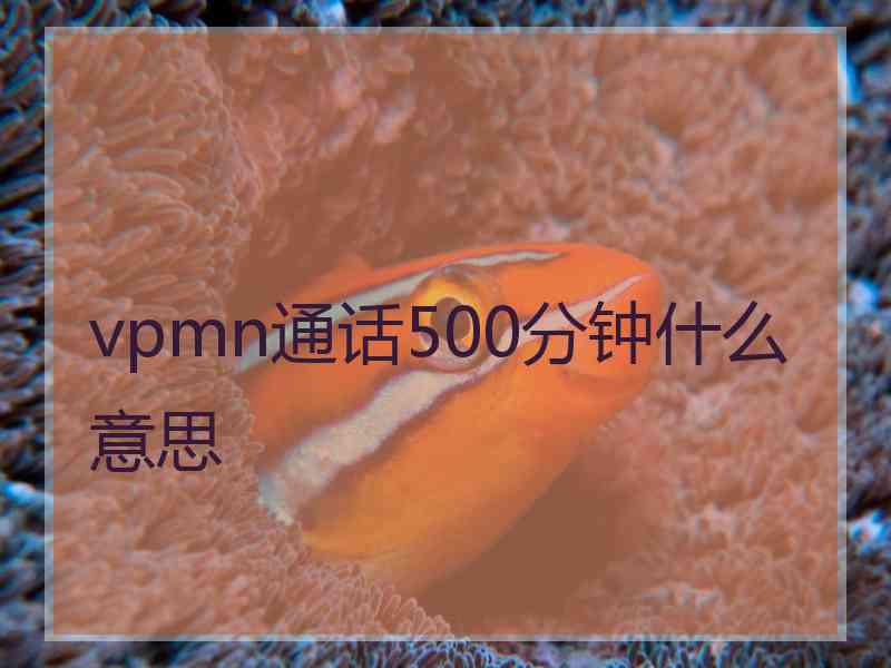 vpmn通话500分钟什么意思