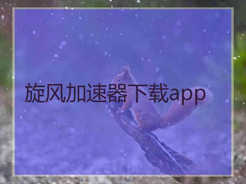 旋风加速器下载app