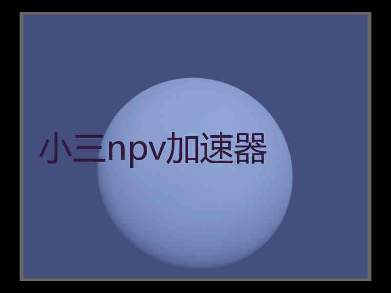 小三npv加速器