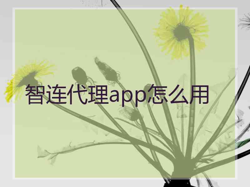 智连代理app怎么用