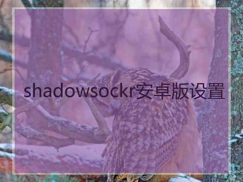 shadowsockr安卓版设置