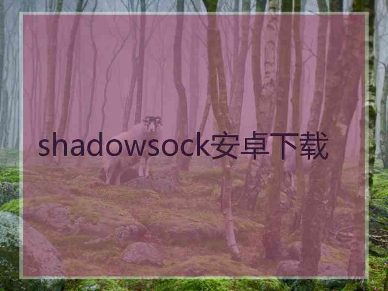 shadowsock安卓下载