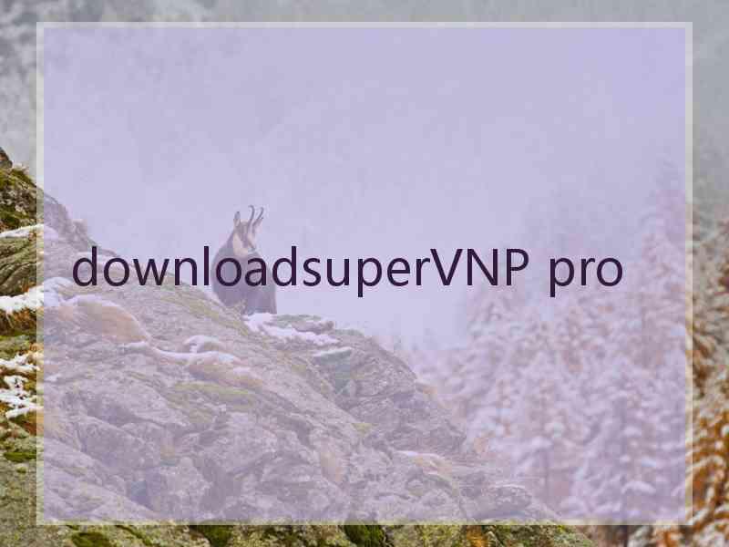 downloadsuperVNP pro