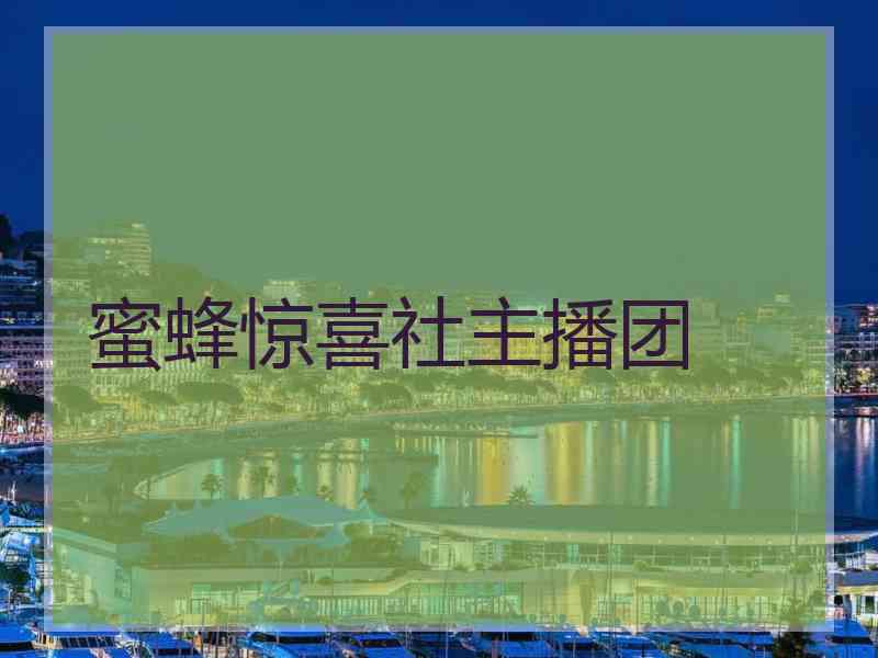 蜜蜂惊喜社主播团