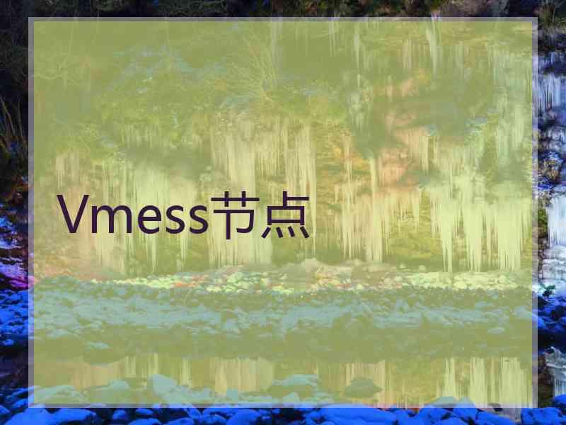 Vmess节点