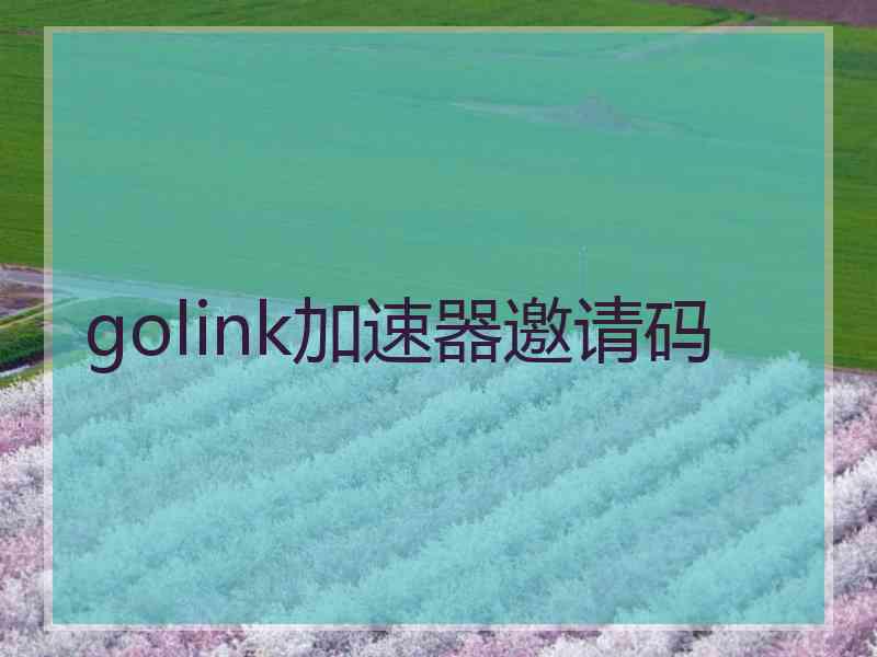 golink加速器邀请码