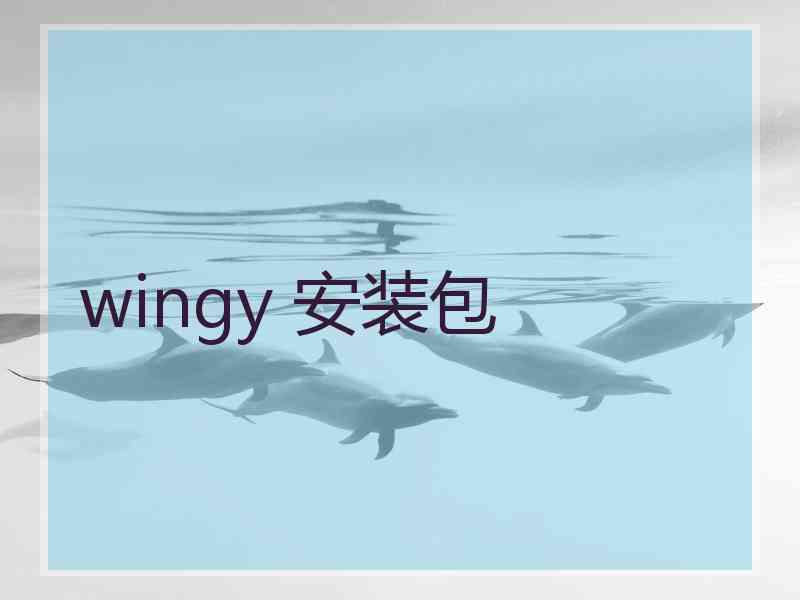 wingy 安装包