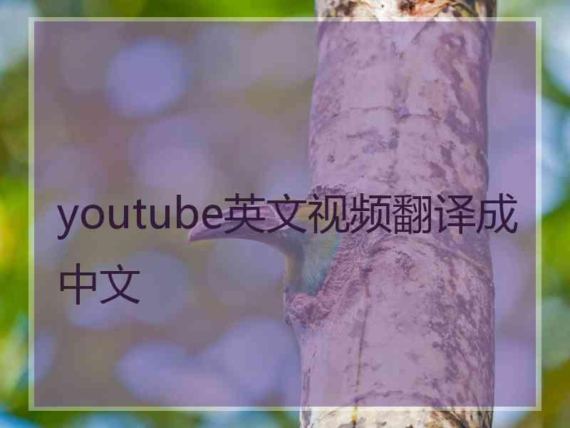 youtube英文视频翻译成中文