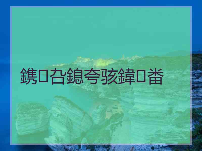 鎸叴鎴夸骇鍏畨