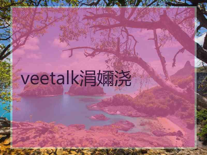 veetalk涓嬭浇