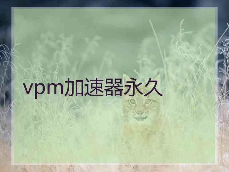 vpm加速器永久