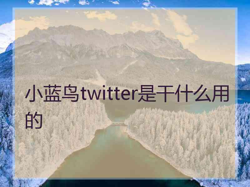 小蓝鸟twitter是干什么用的