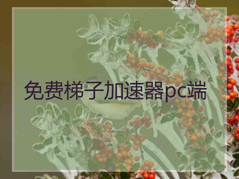 免费梯子加速器pc端