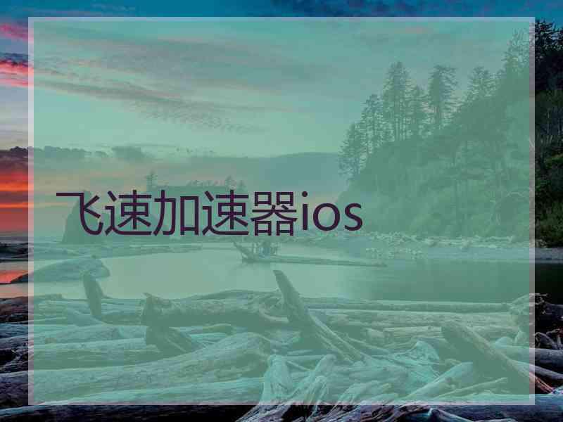 飞速加速器ios