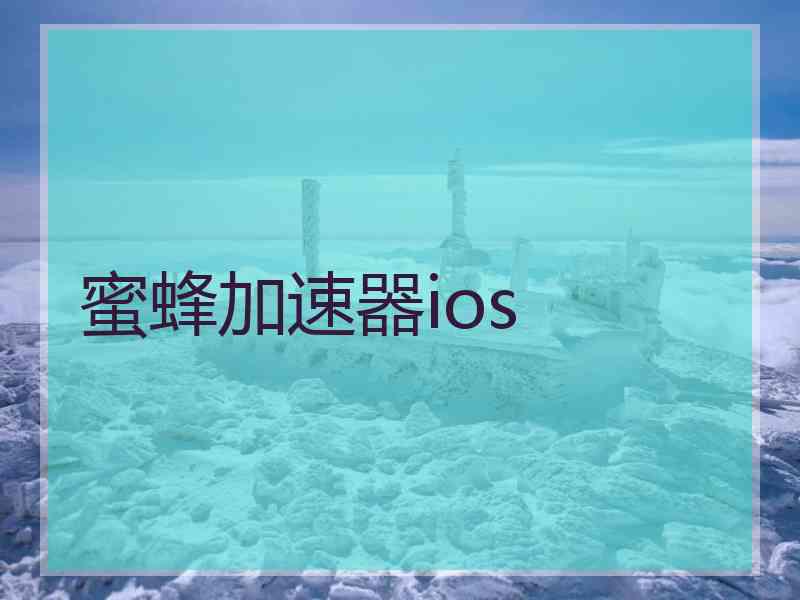 蜜蜂加速器ios