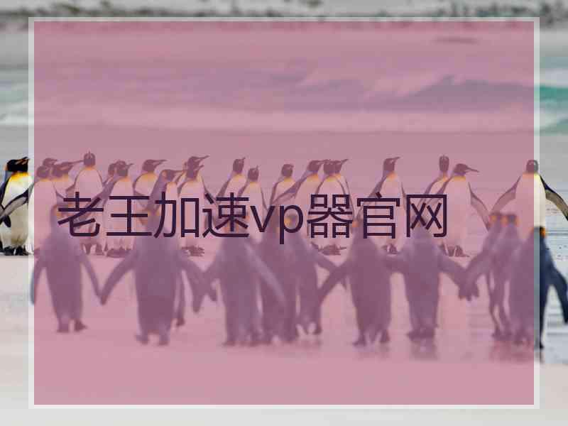 老王加速vp器官网