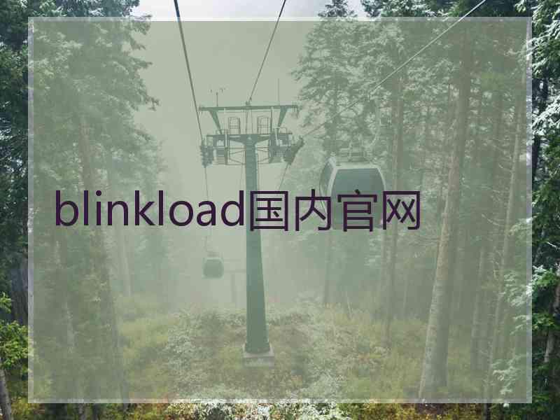 blinkload国内官网