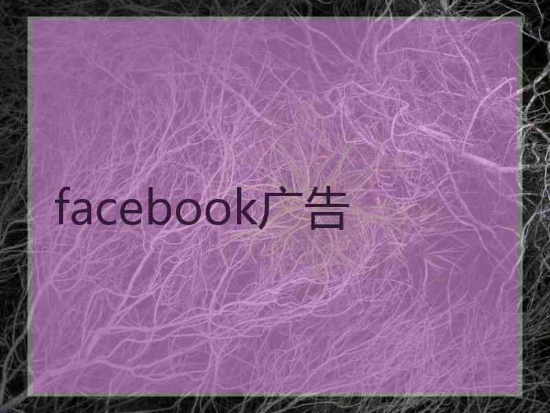 facebook广告