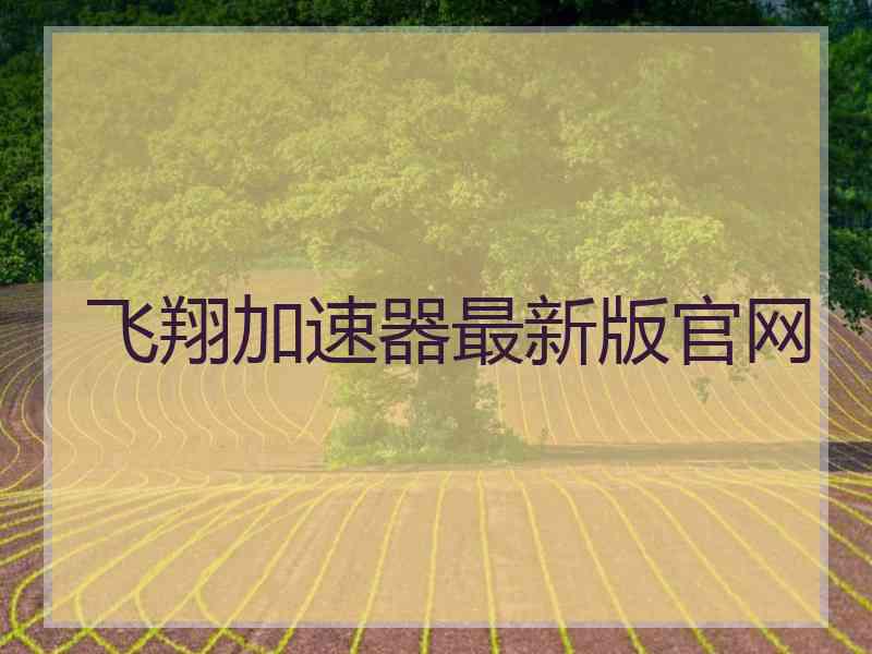 飞翔加速器最新版官网