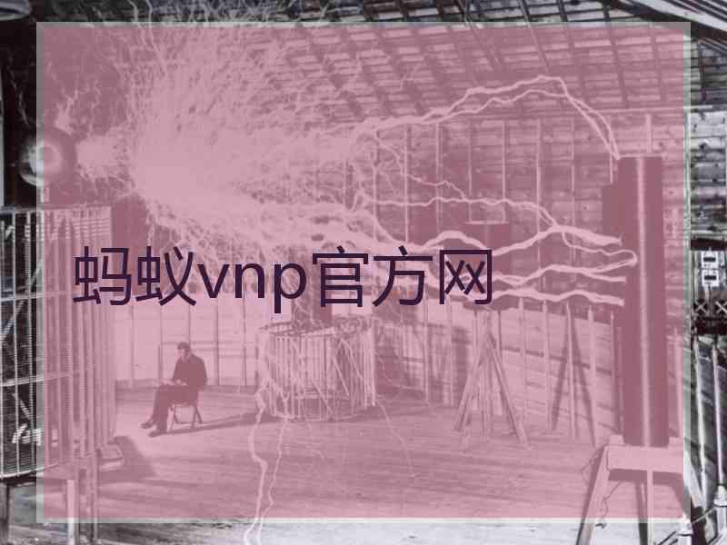 蚂蚁vnp官方网