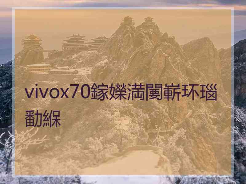 vivox70鎵嬫満闄嶄环瑙勫緥