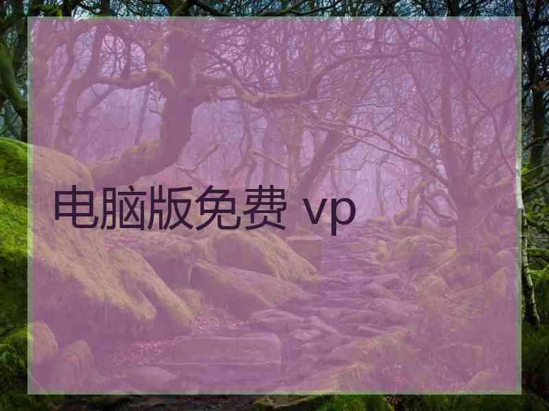 电脑版免费 vp