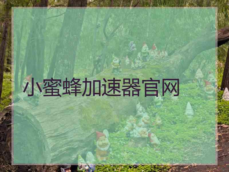 小蜜蜂加速器官网