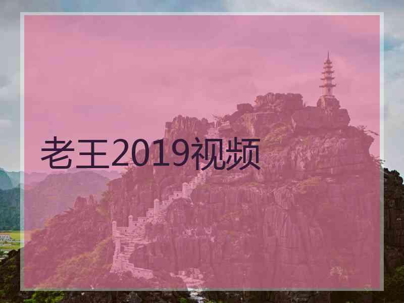 老王2019视频