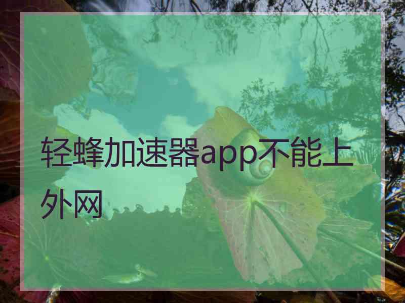 轻蜂加速器app不能上外网