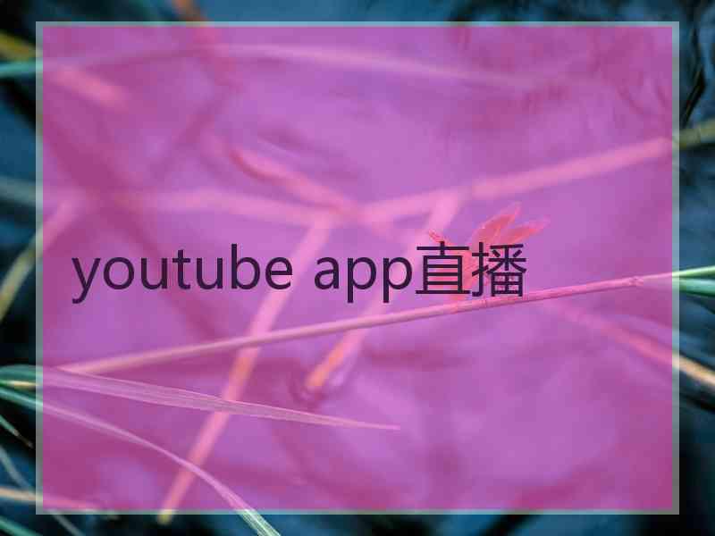 youtube app直播