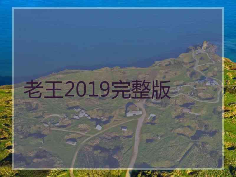 老王2019完整版