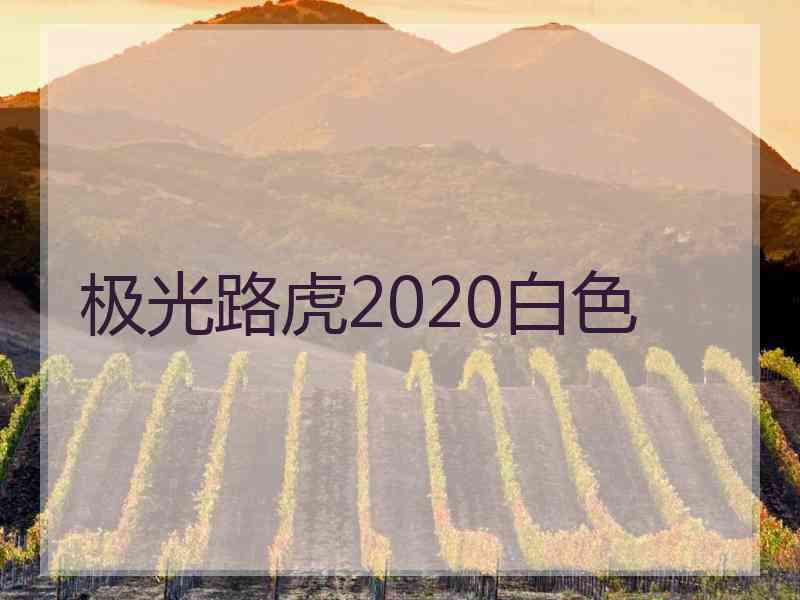 极光路虎2020白色