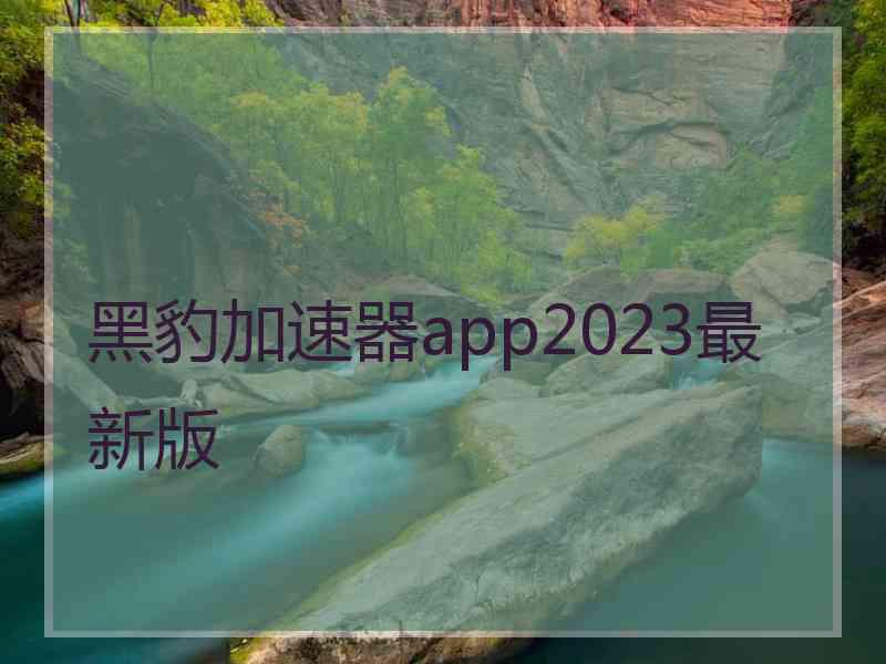 黑豹加速器app2023最新版