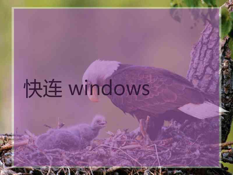 快连 windows