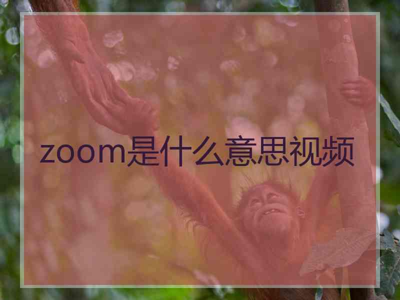 zoom是什么意思视频