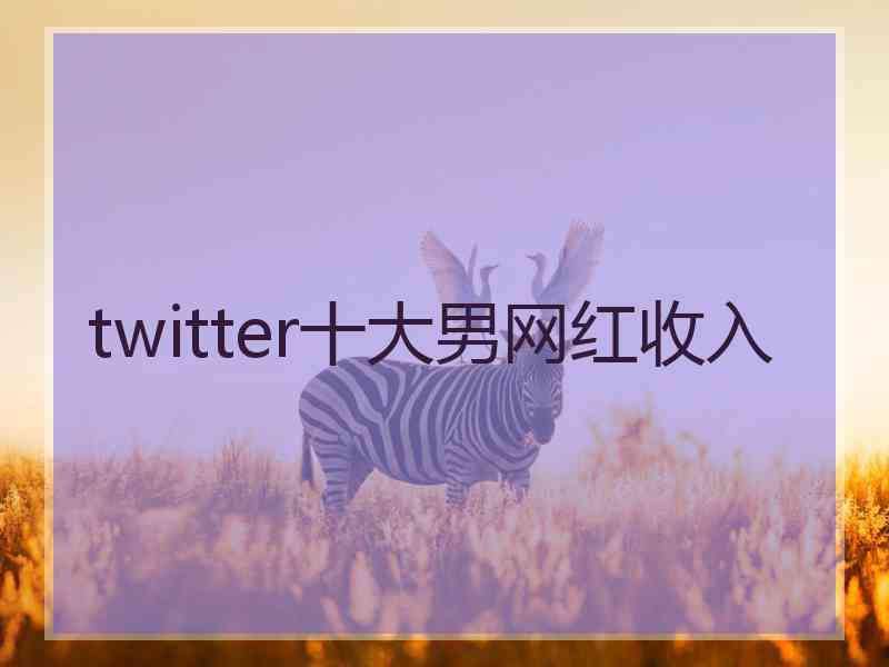 twitter十大男网红收入