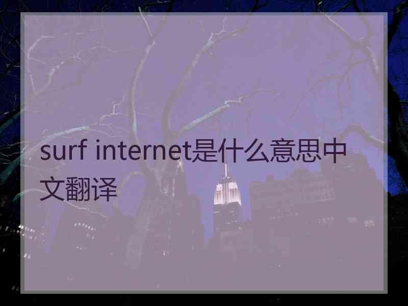 surf internet是什么意思中文翻译