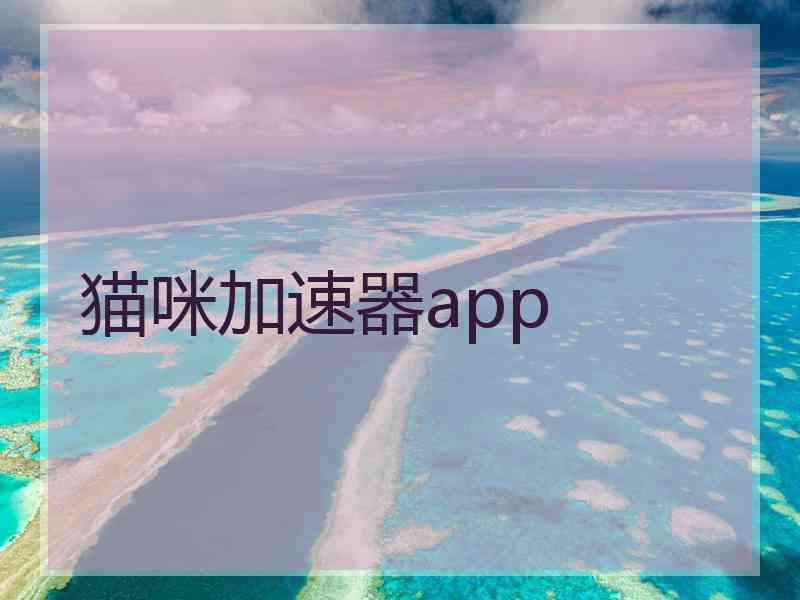 猫咪加速器app