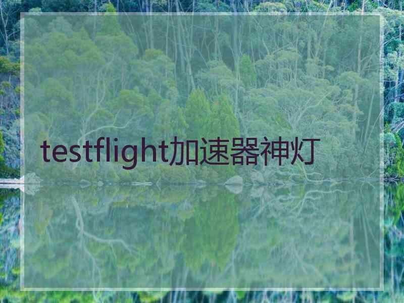 testflight加速器神灯