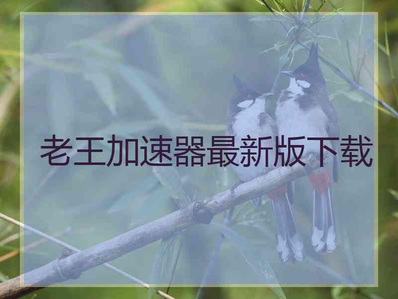 老王加速器最新版下载