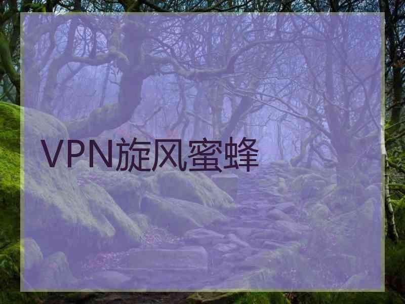 VPN旋风蜜蜂